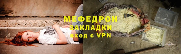 гидра Няндома