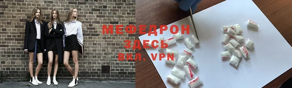 гидра Няндома