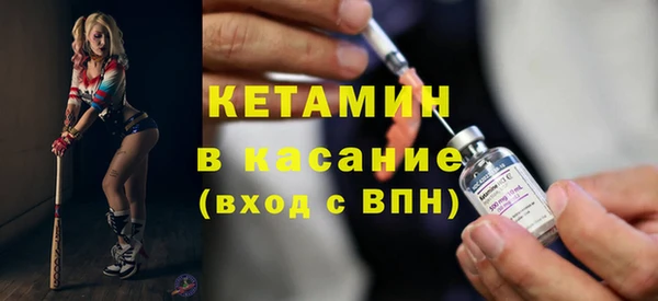 гидра Няндома
