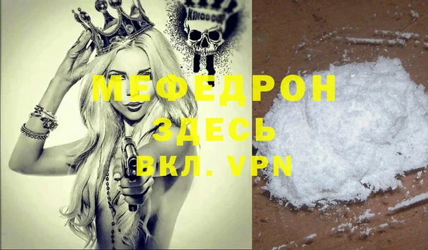 гидра Няндома