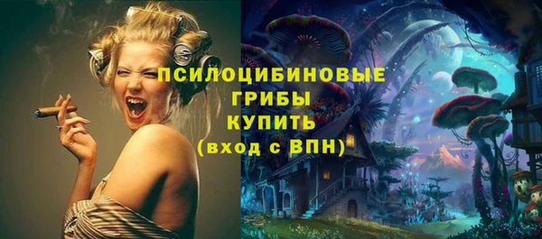 хмурый Новокубанск