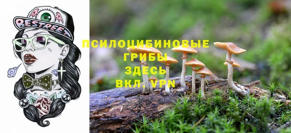 стаф Нязепетровск
