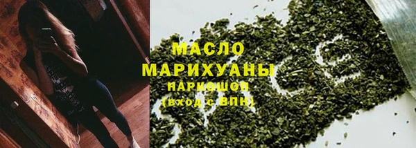 гидра Няндома