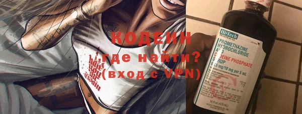 гидра Няндома