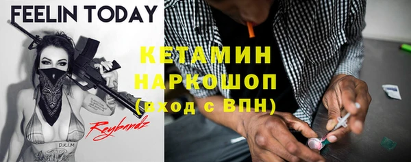 гидра Няндома