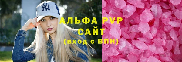гидра Няндома