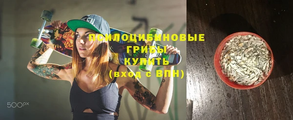 соль ск Новодвинск