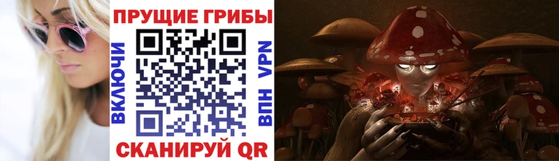 Псилоцибиновые грибы мицелий  shop как зайти  Нижнекамск 