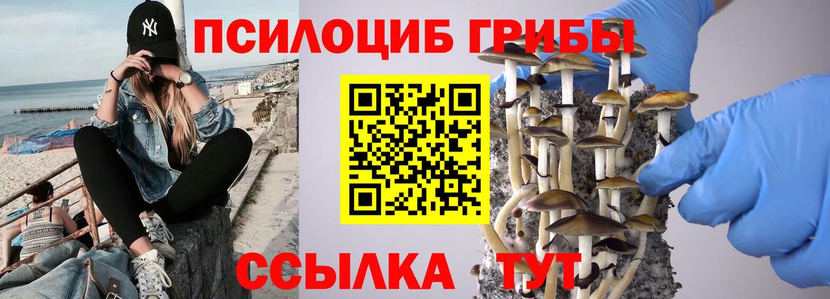 Нижнекамск  Галлюциногенные грибы мухоморы  Псилоцибиновые грибы мицелий  Вход с VPN 
